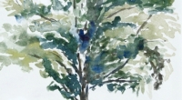 aquarelle-arbre-été
