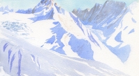 aquarelle-chardonnet-hiver